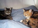 sophie and florrie.jpg